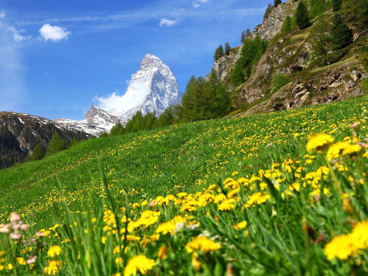 Apartment Zur Matte B-1 By Interhome Zermatt Dış mekan fotoğraf